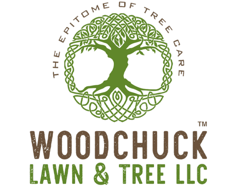 Woodchuck Lawn & Tree Llc