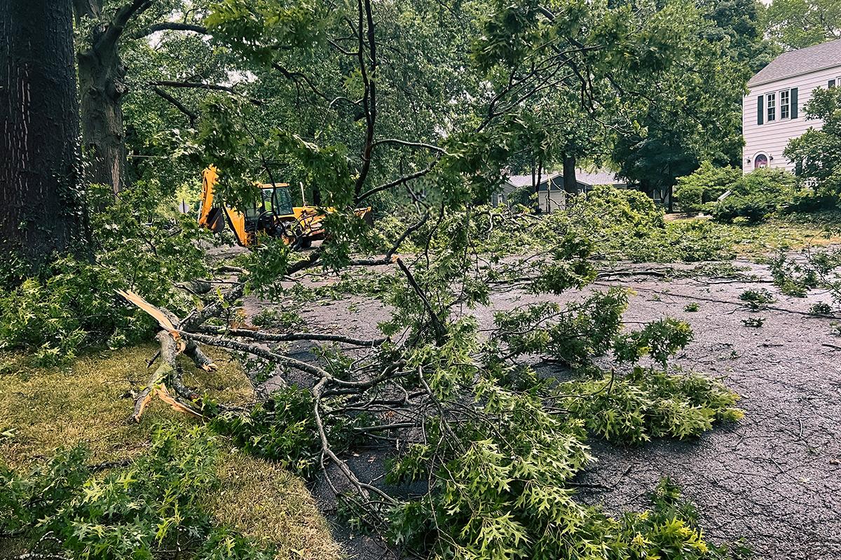 Landscaping
