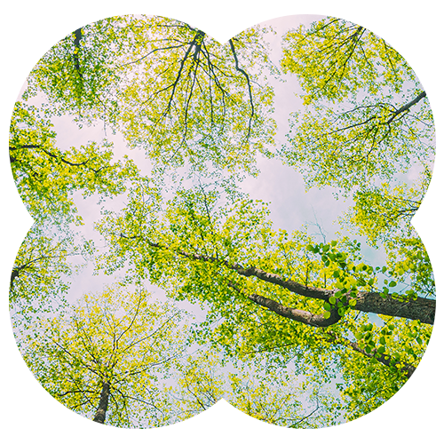 Training & Development