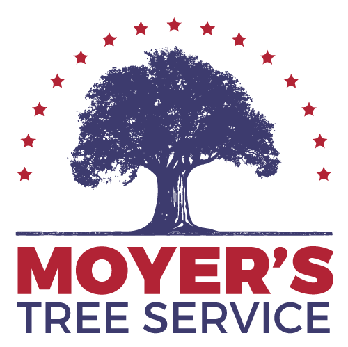 Moyer's Tree Service