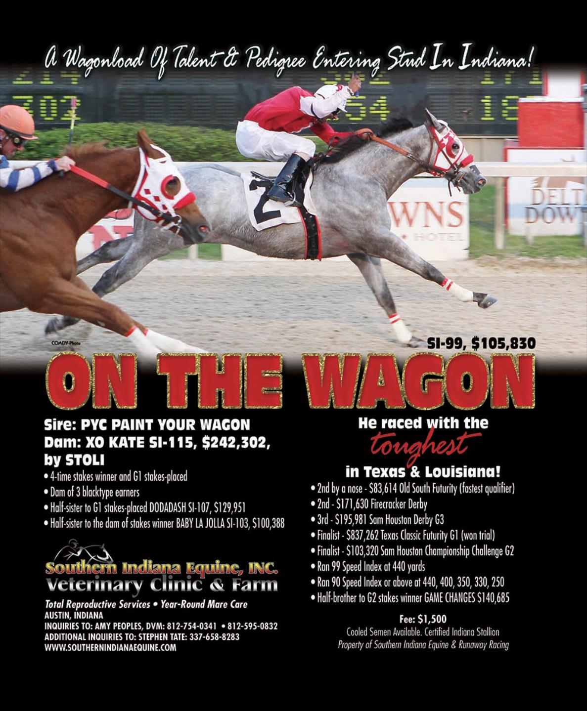 Southern Indiana Equine 2943 N Slab Rd Austin, IN 47102-8509