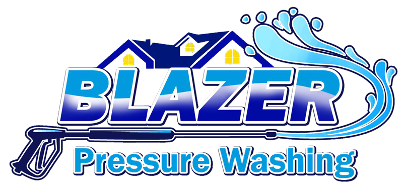 Blazer Pressure Washer