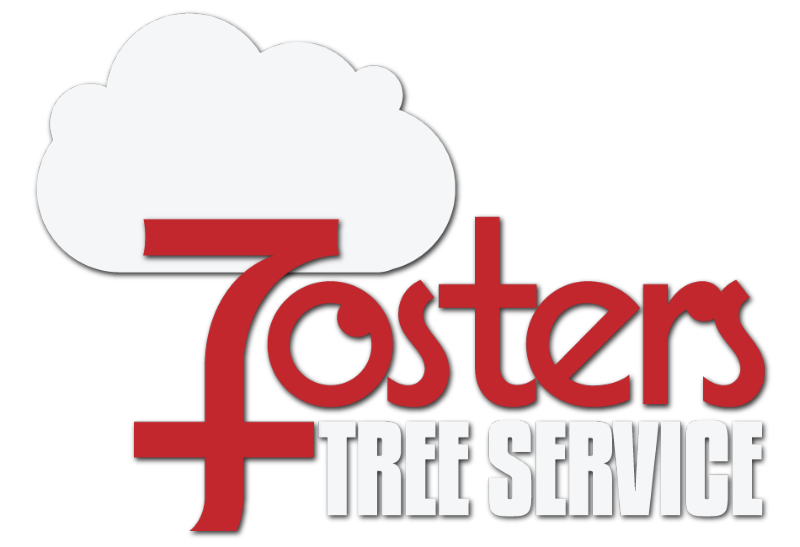 Fosters Tree Service