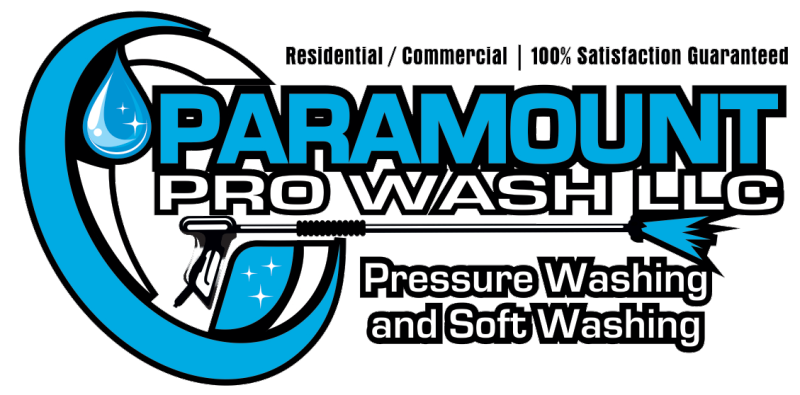 Paramount Pro Wash
