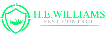{dealername}