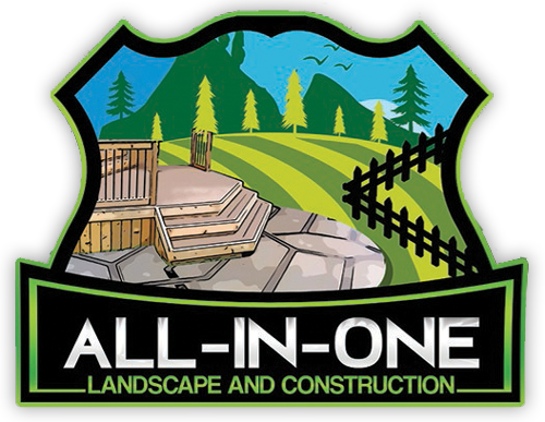 All In One LLC