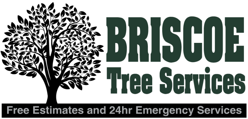 Briscoe Tree Service