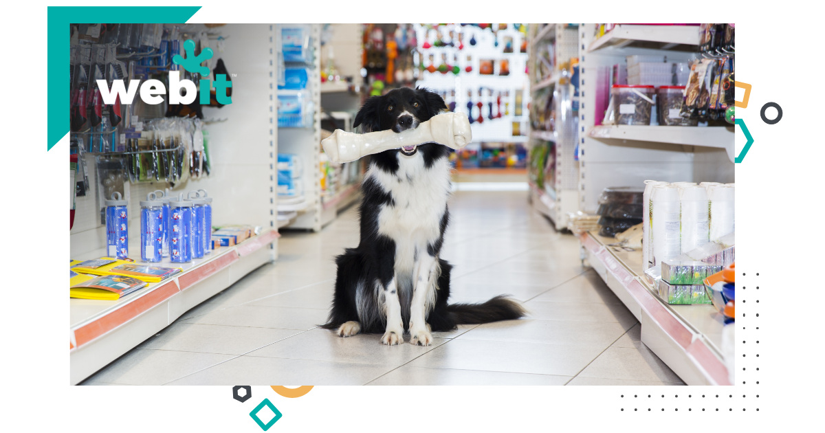 Pet Supply Websites 49 month Webit pet-supply-websites-49-month-webit