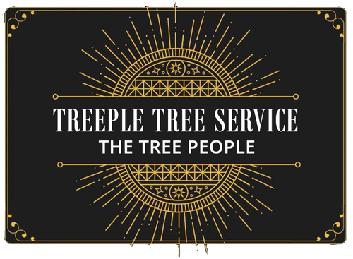 Treeple Tree Service