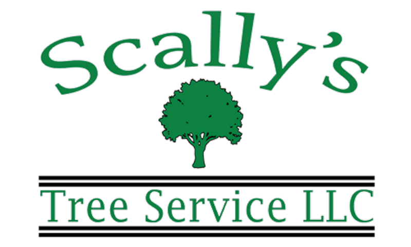 Scally's Tree Service LLC
