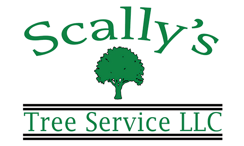 Scally's Tree Service LLC