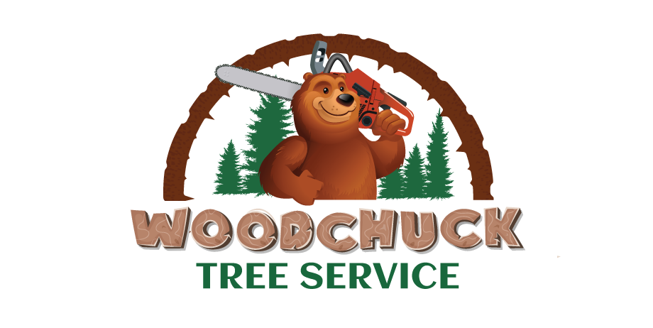 Fresh Step Cleaning Services - Owensboro, KY