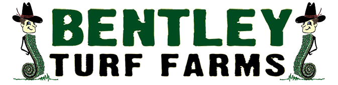 Bentley Turf Farms