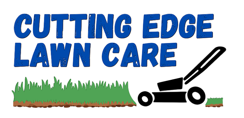 Window Installation in Gretna, Louisiana