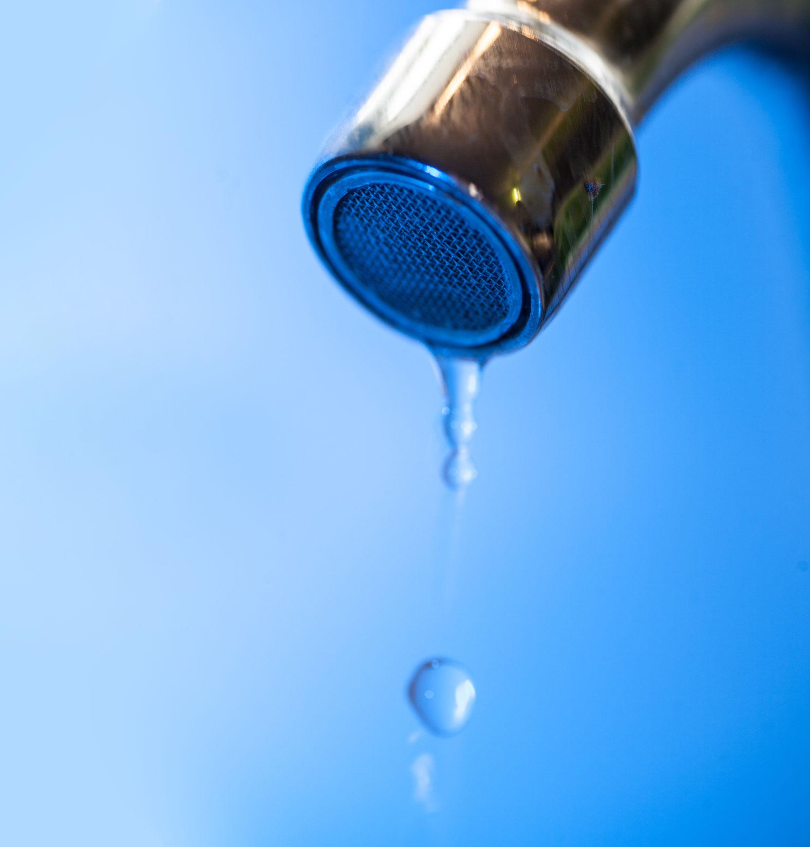 Moisture Inspections