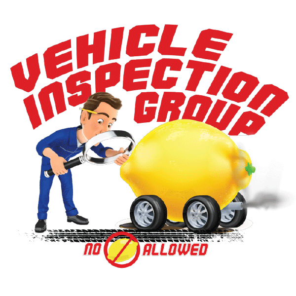 Vehicle Inspection Group LLC