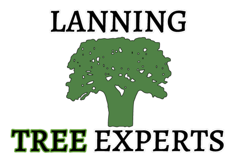 Lanning Tree Experts