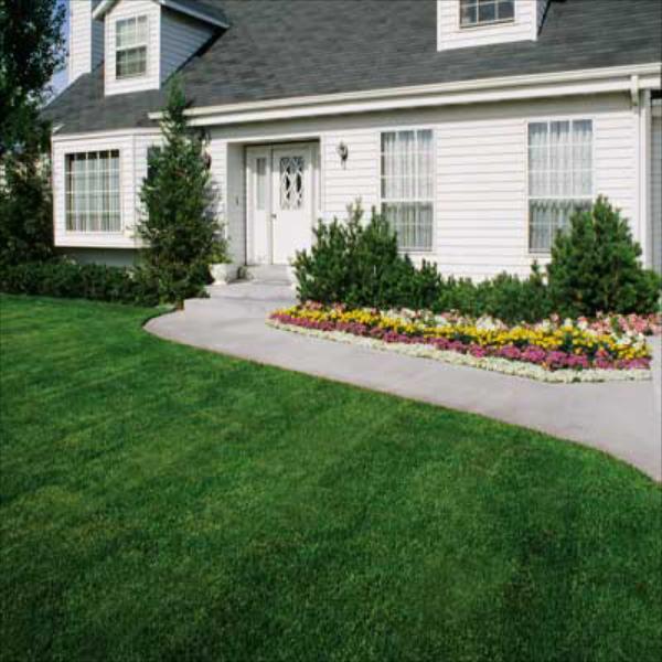 Free Estimate