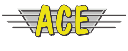 ACE Salvage Enterprises Inc.