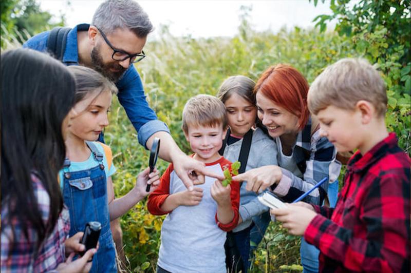 Group of five children and two adults exploring nature