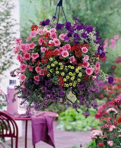 Hanging basket