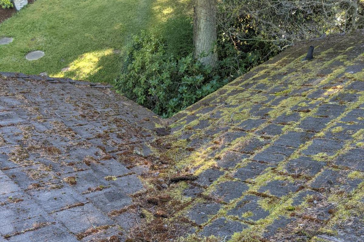 Gutter Cleaning/Repairs