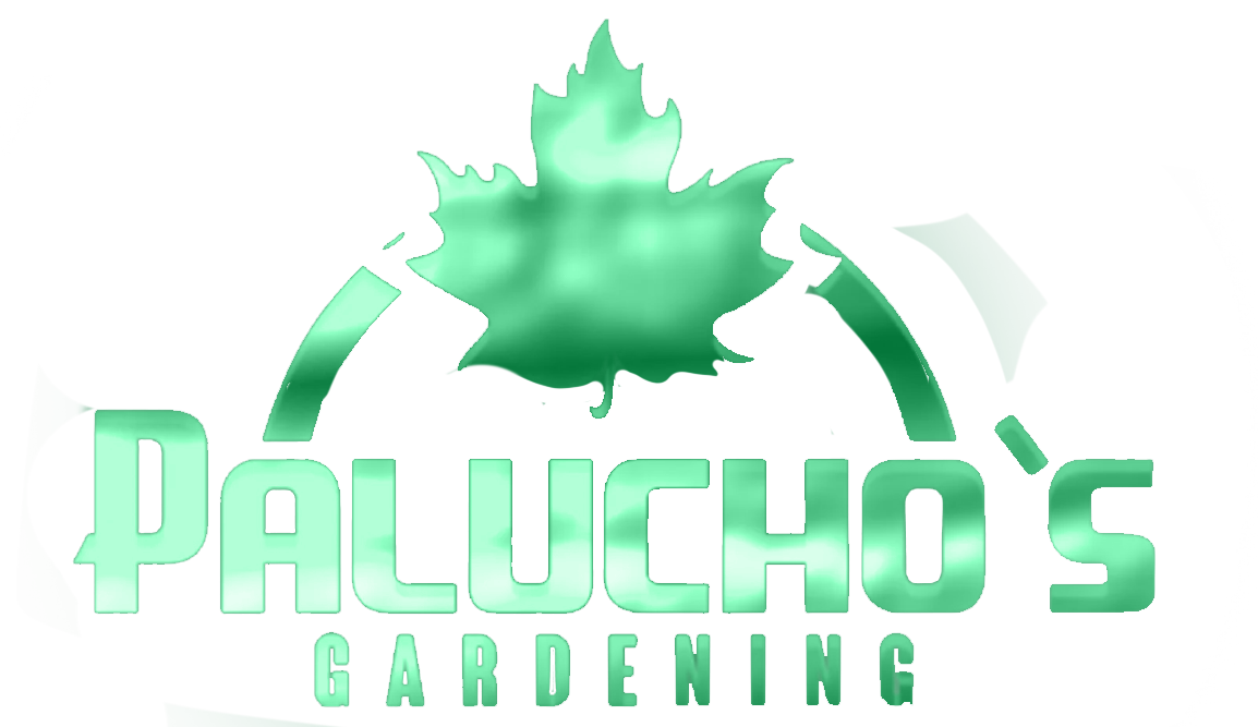 Watters Pressure Washing