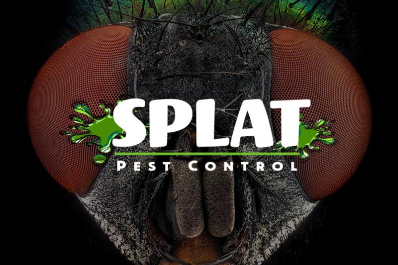 In Sioux Falls SD Splat Pest Control