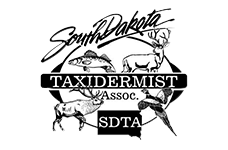 Webit Small Business 3