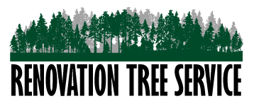 Renovation Tree Service