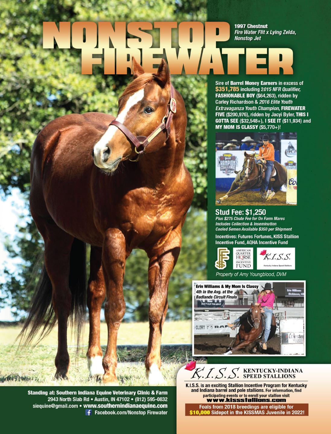 Southern Indiana Equine 2943 N Slab Rd Austin, IN 47102-8509