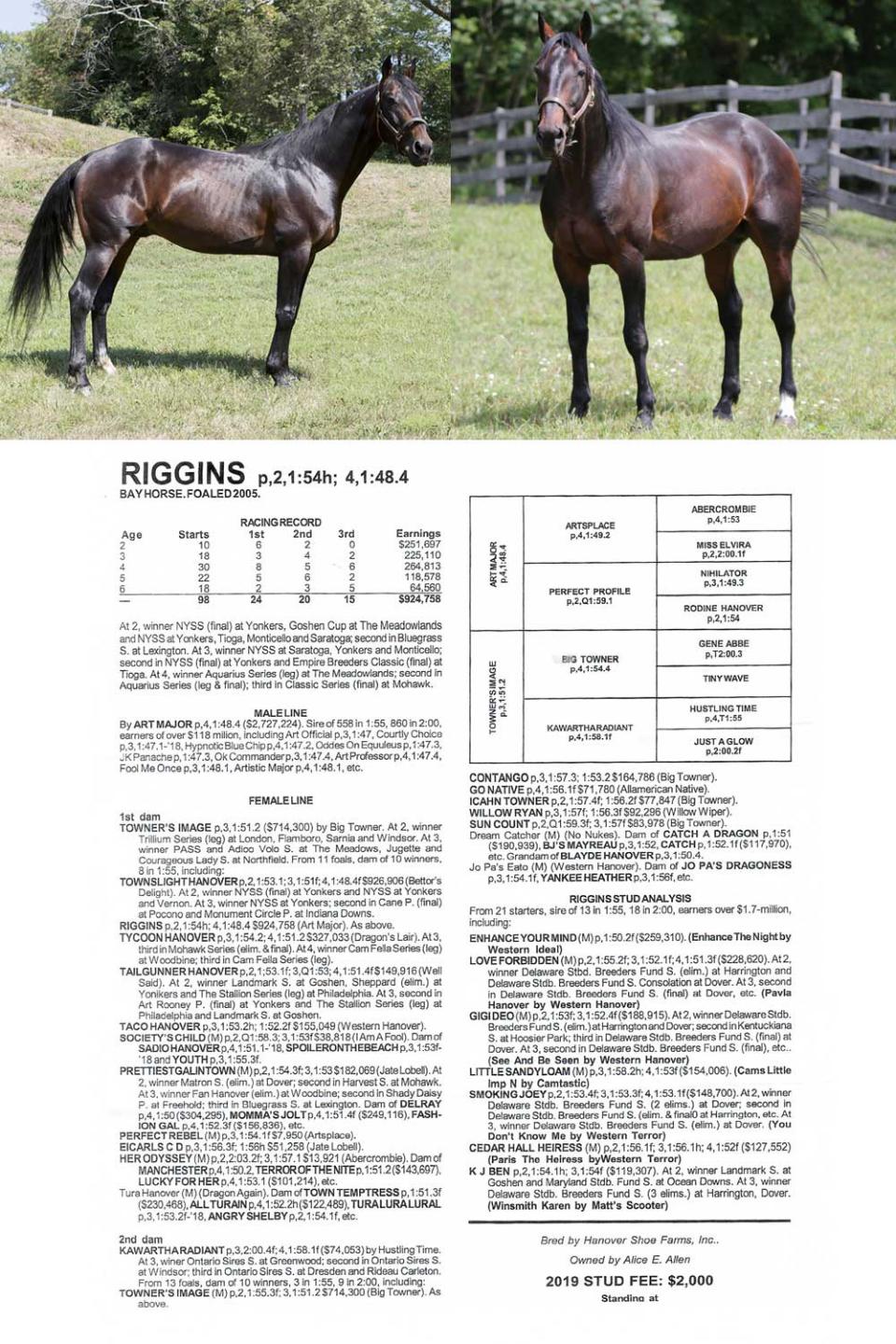 Southern Indiana Equine 2943 N Slab Rd Austin, IN 47102-8509