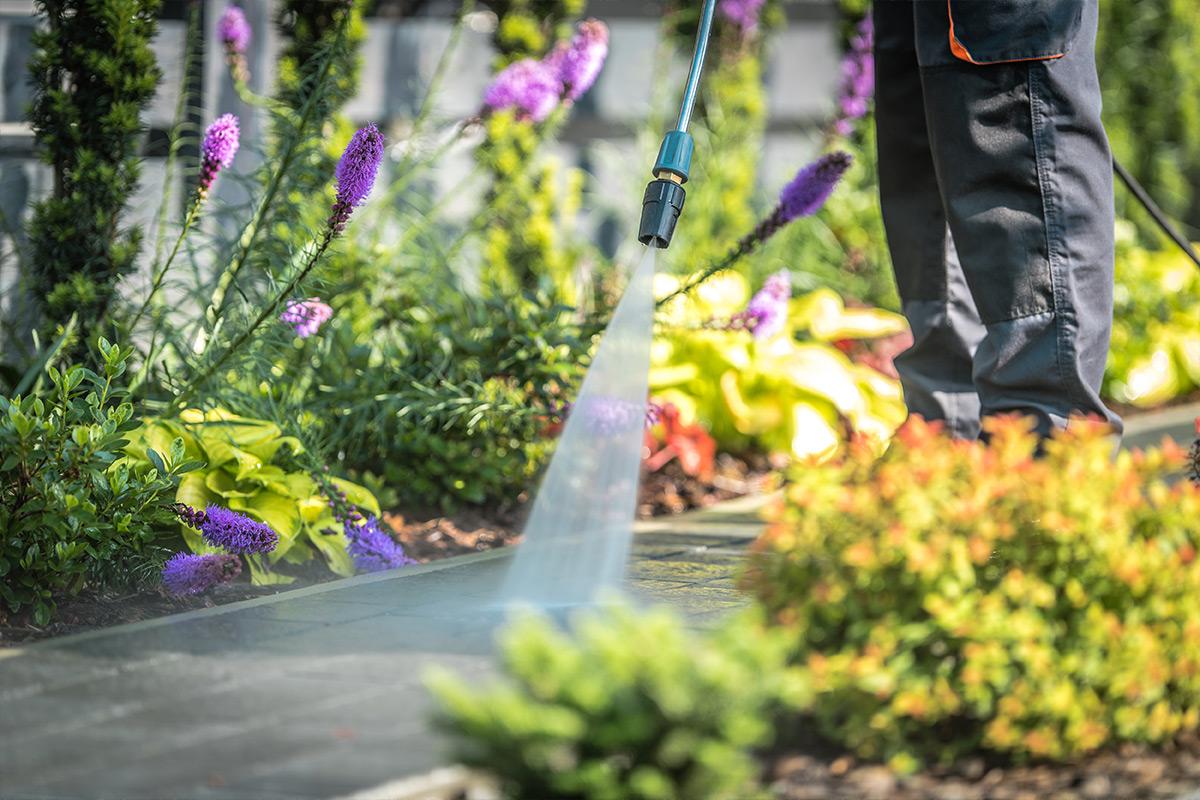 Weed Control and Fertilizer