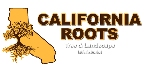 California Roots Tree & Landscape