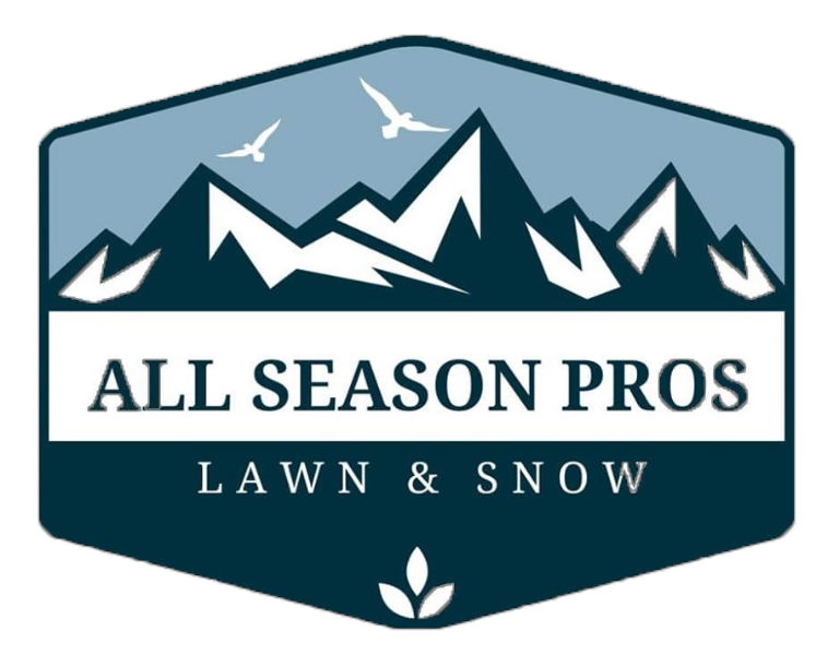 All Season Pros Lawn & Snow