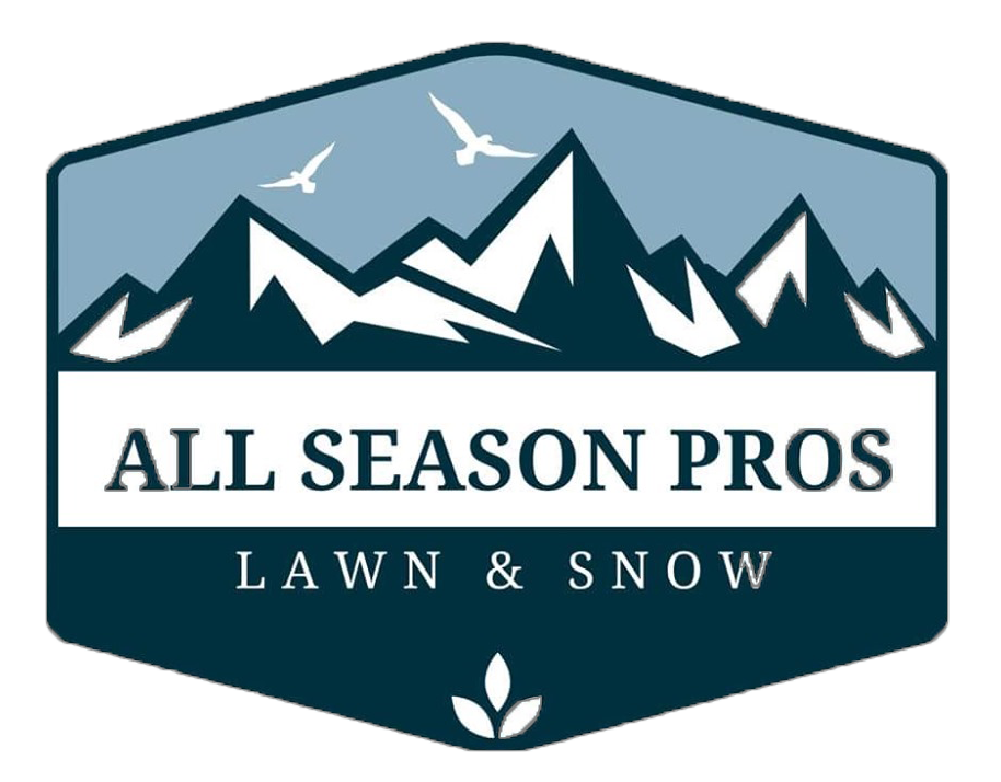 All Season Pros Lawn & Snow