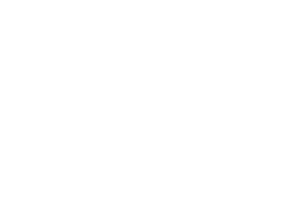 Gottzz's