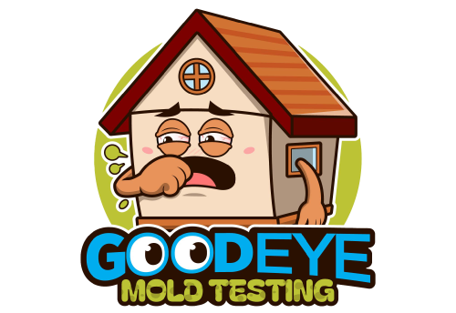 Good Eye Mold Testing