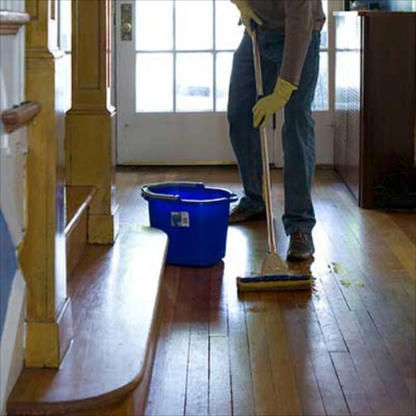 Professional property management cleaning services