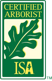 ISA logo