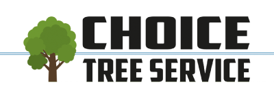 Choice Tree Service