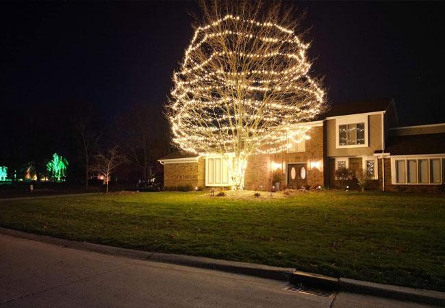 Buckeye Bright Lights