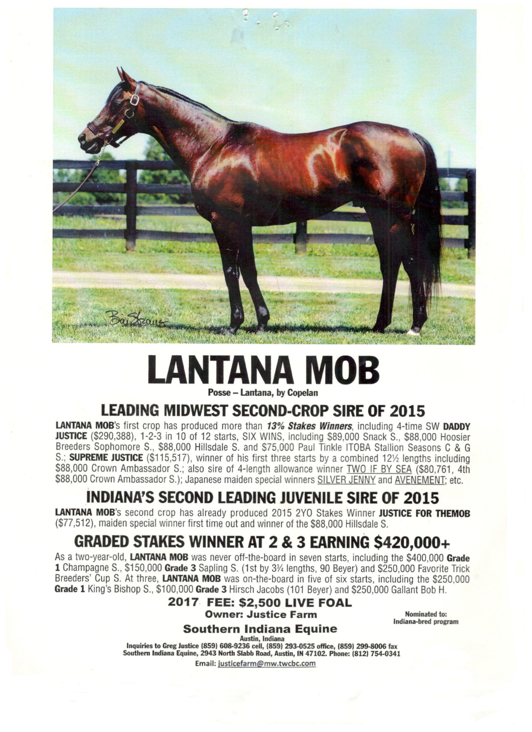 Southern Indiana Equine 2943 N Slab Rd Austin, IN 47102-8509