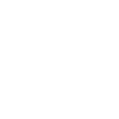 footer icon Google Plus