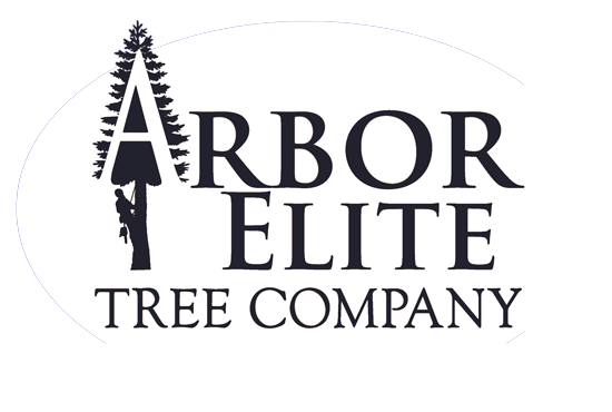 Arbor Elite