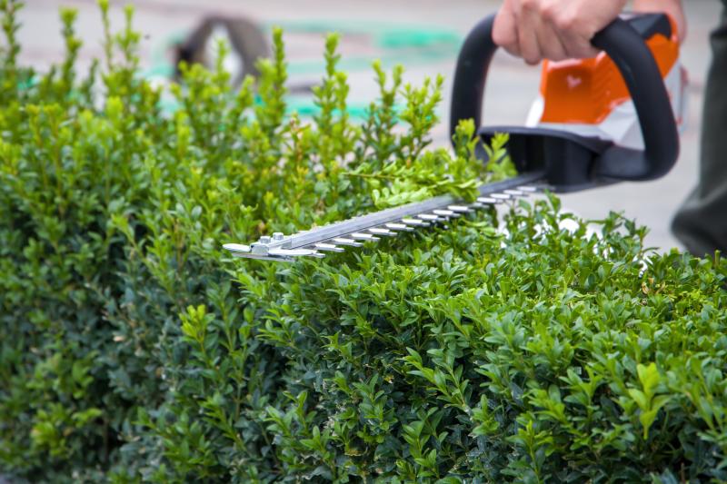 Hedge and Bush Trimming