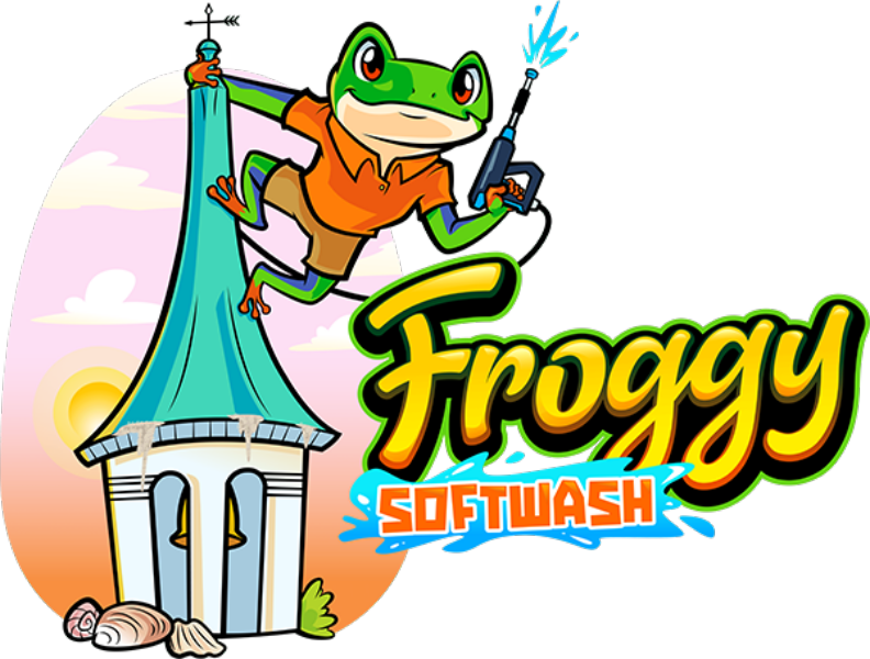 Froggy Softwash