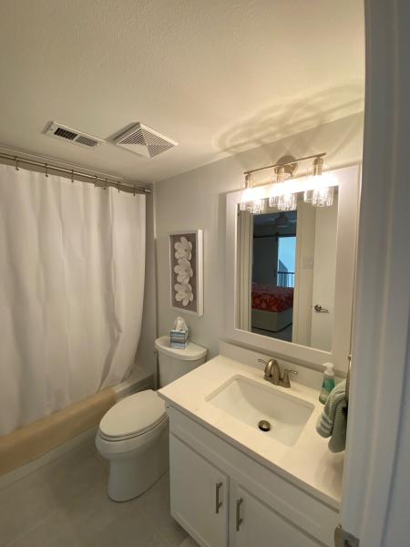 Hidden bathroom project